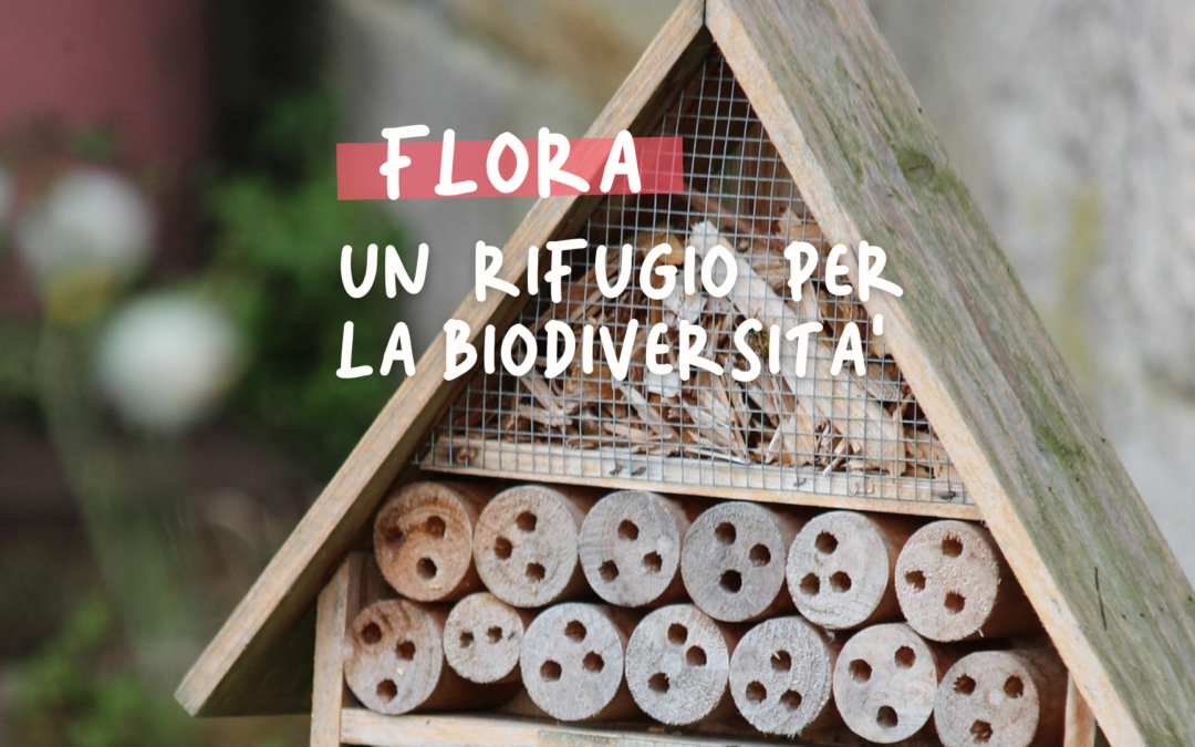 Un rifugio per la biodiversità