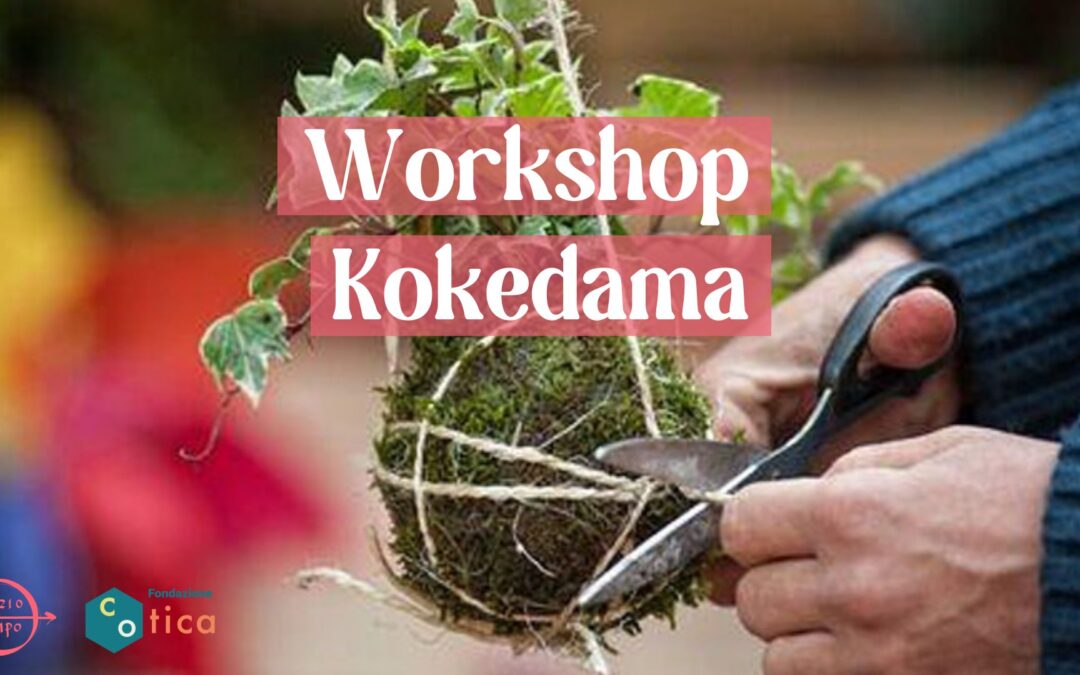Workshop di Kokedama